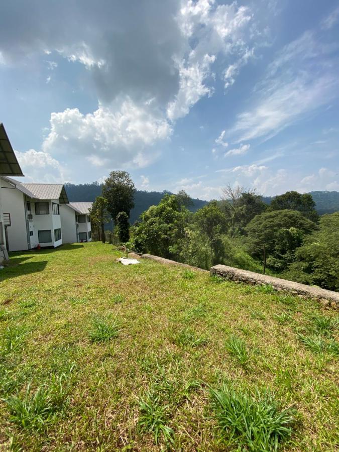 Mannoor Farms Mountain View Stays, 蒙纳 外观 照片