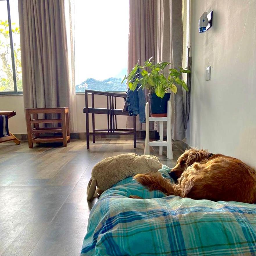 Mannoor Farms Mountain View Stays, 蒙纳 外观 照片