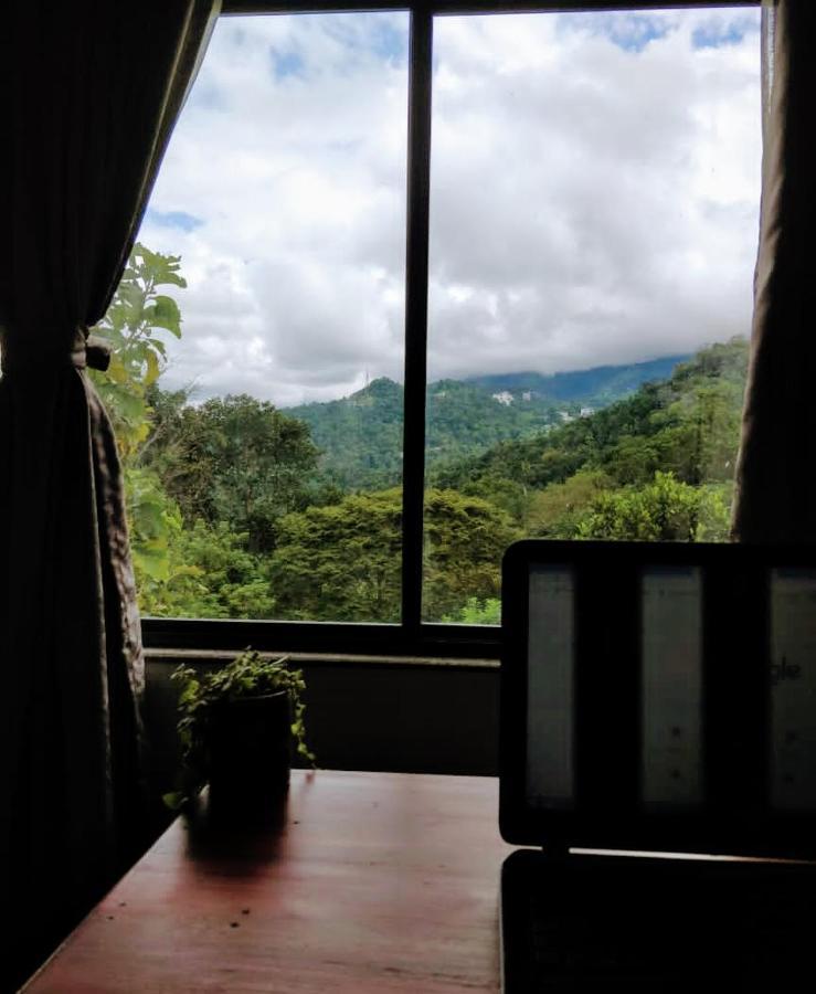 Mannoor Farms Mountain View Stays, 蒙纳 外观 照片