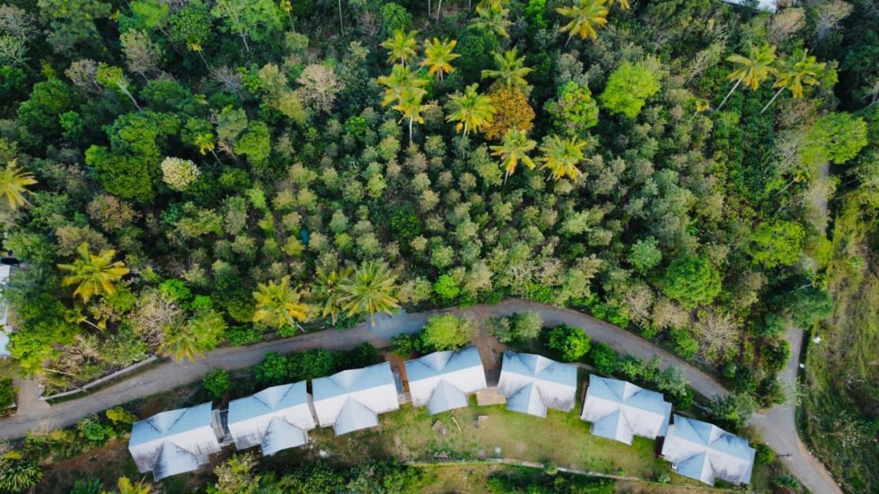 Mannoor Farms Mountain View Stays, 蒙纳 外观 照片